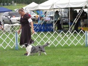 Indy playing in Veteran Classes at Amana